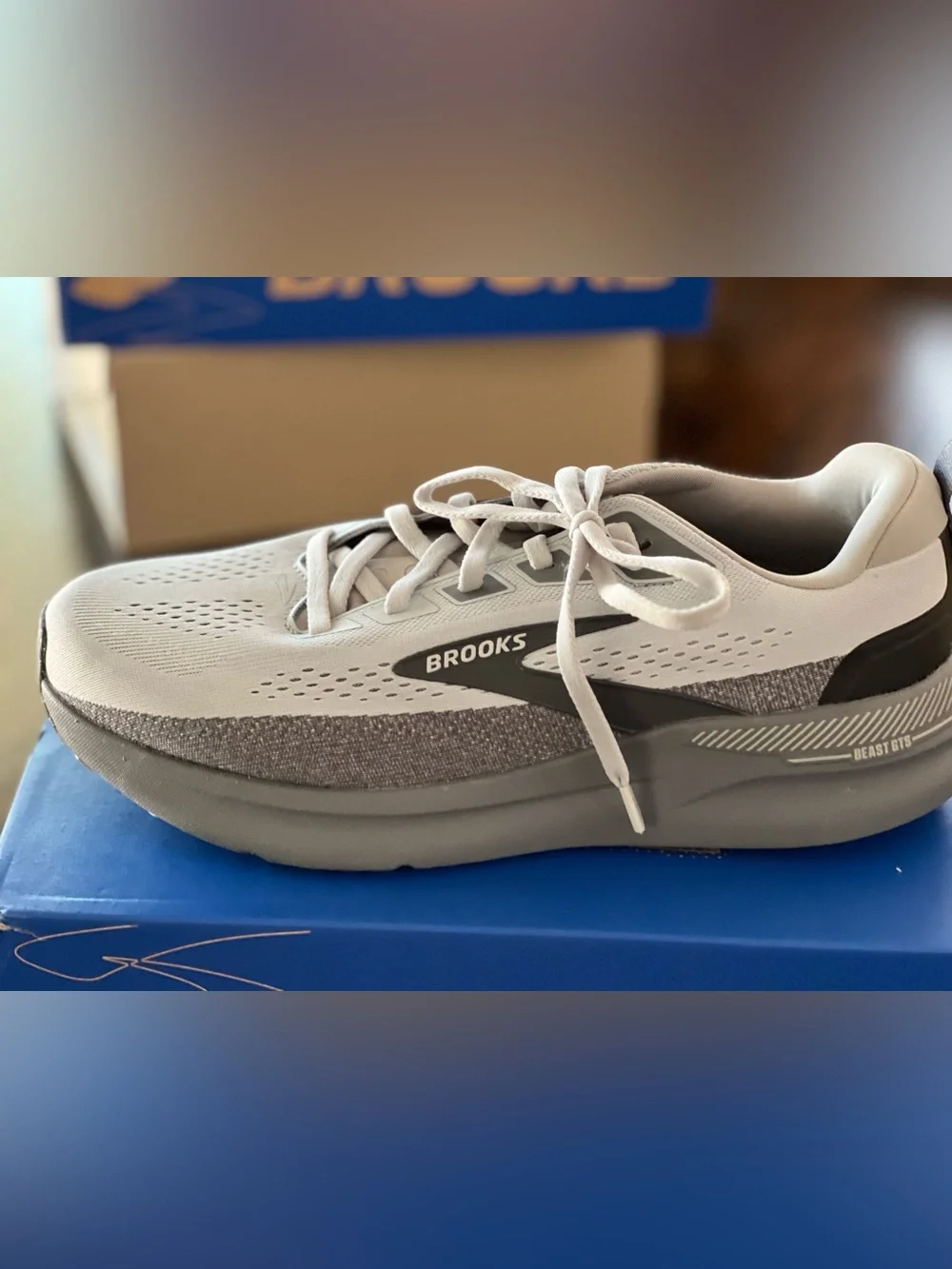 Brooks Men's Gray and White Running Shoe